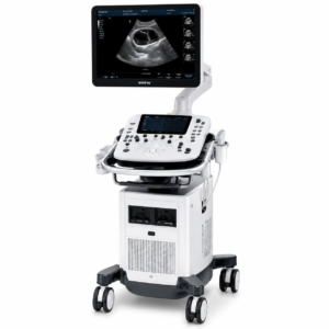 Ultrasound System