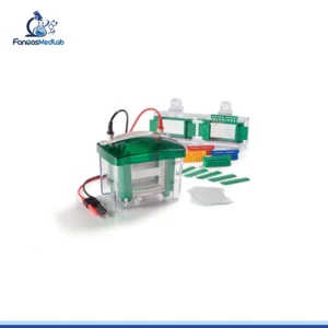 Electrophoresis Systems